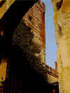 019 la torre del cast inferiore.jpg (161472 byte)