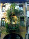 020 Zampieri_vert.jpg (164572 byte)