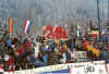 310 pinz_24 ore 1.jpg (439958 byte)