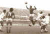 36 rete_taranto.jpg (153500 byte)