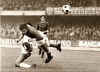 51 gol_tuf_cagl.jpg (432660 byte)