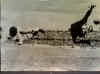 61 bissoli_e_bianchi_1.jpg (281338 byte)
