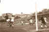 77 rete_cz-roma.jpg (339395 byte)